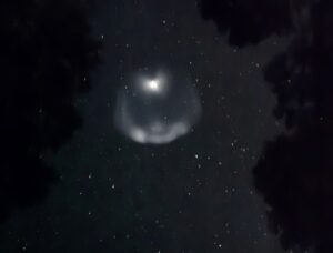 bolla razzo spacex