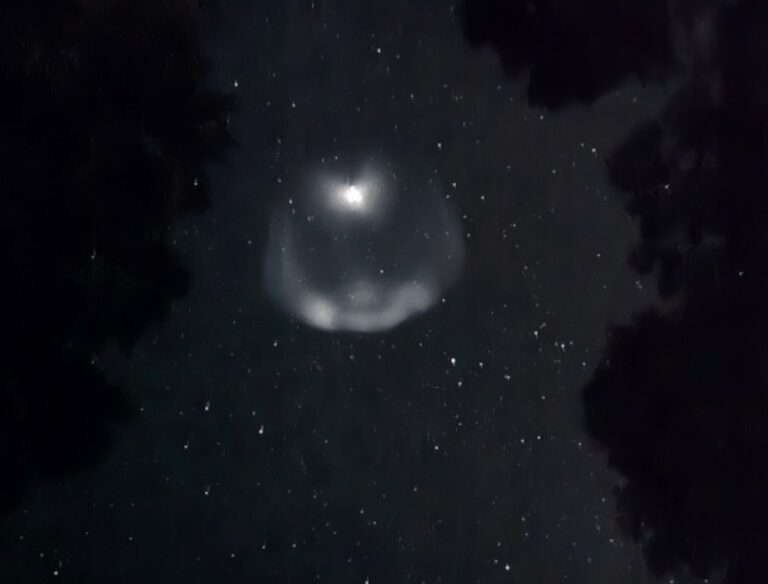 bolla razzo spacex