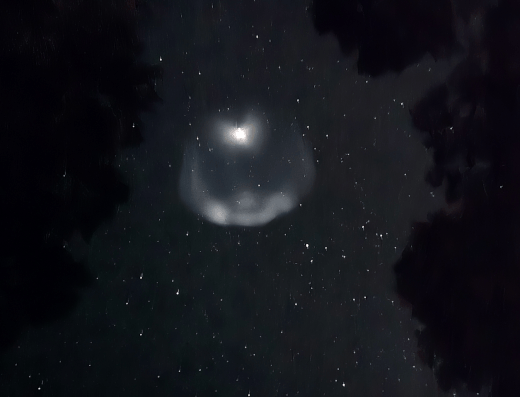 bolla razzo spacex