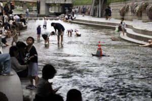 caldo corea sud
