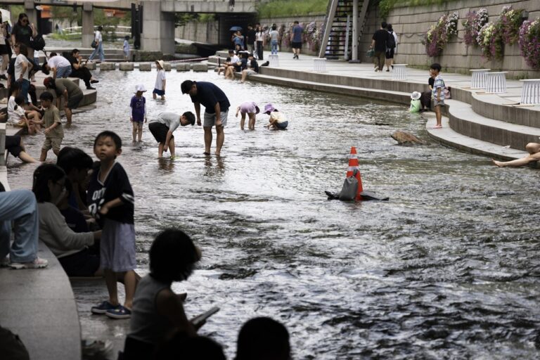 caldo corea sud