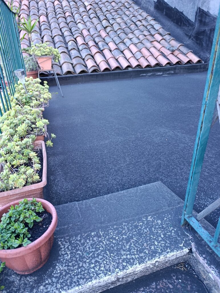 cenere etna