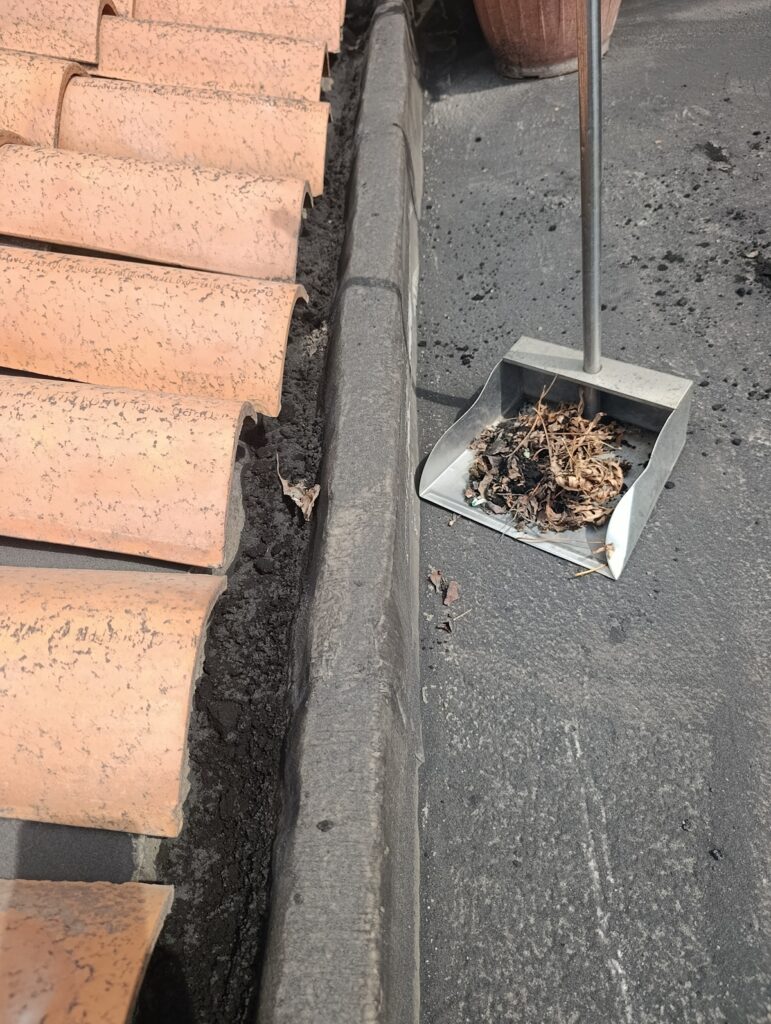 cenere zafferana etna