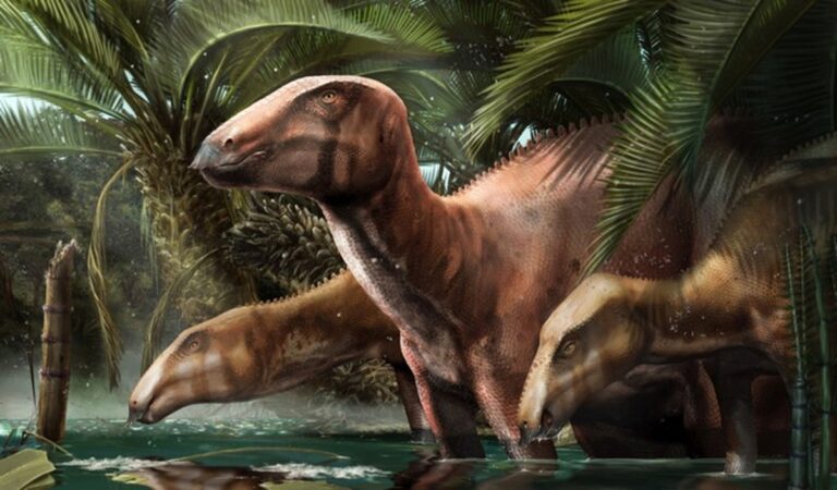 dinosauri Tethyshadros insularis