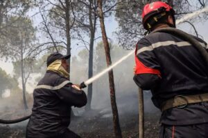 incendi algeria