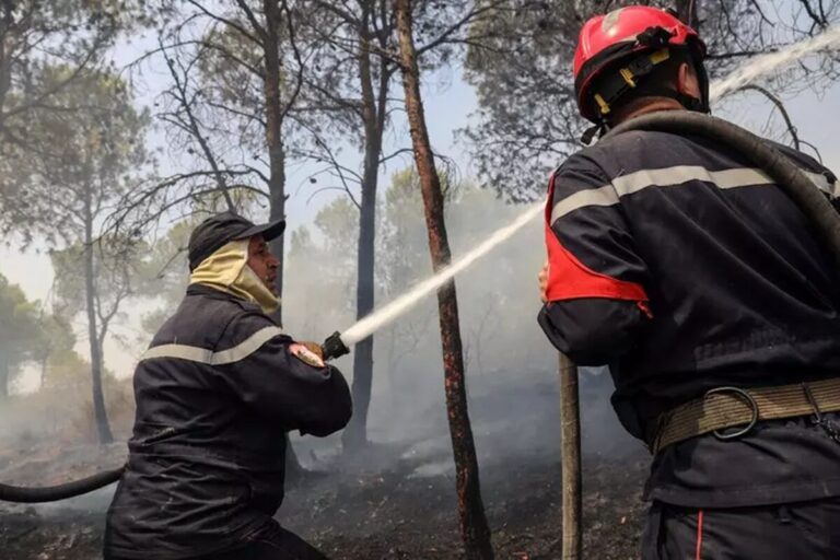 incendi algeria