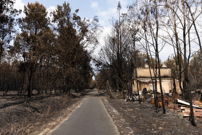 incendi francia