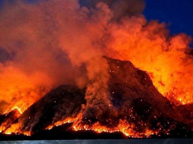 incendi friuli