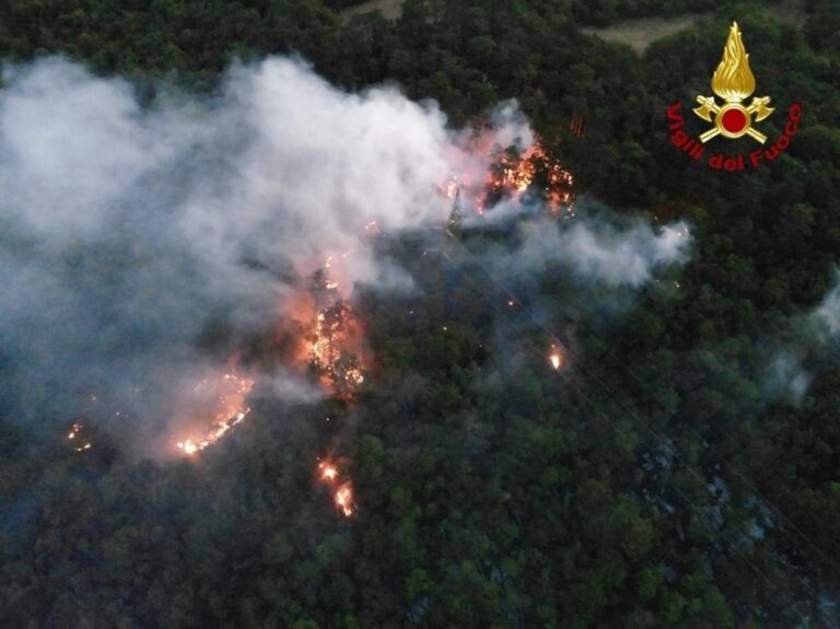 incendi fvg