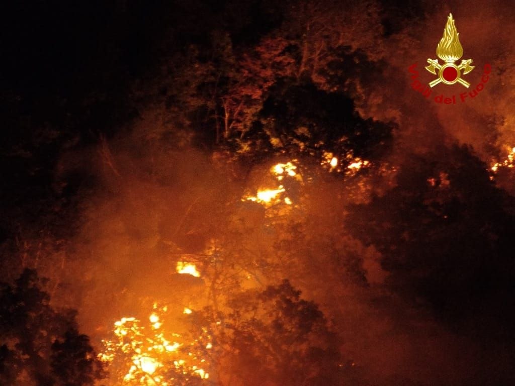 incendi fvg