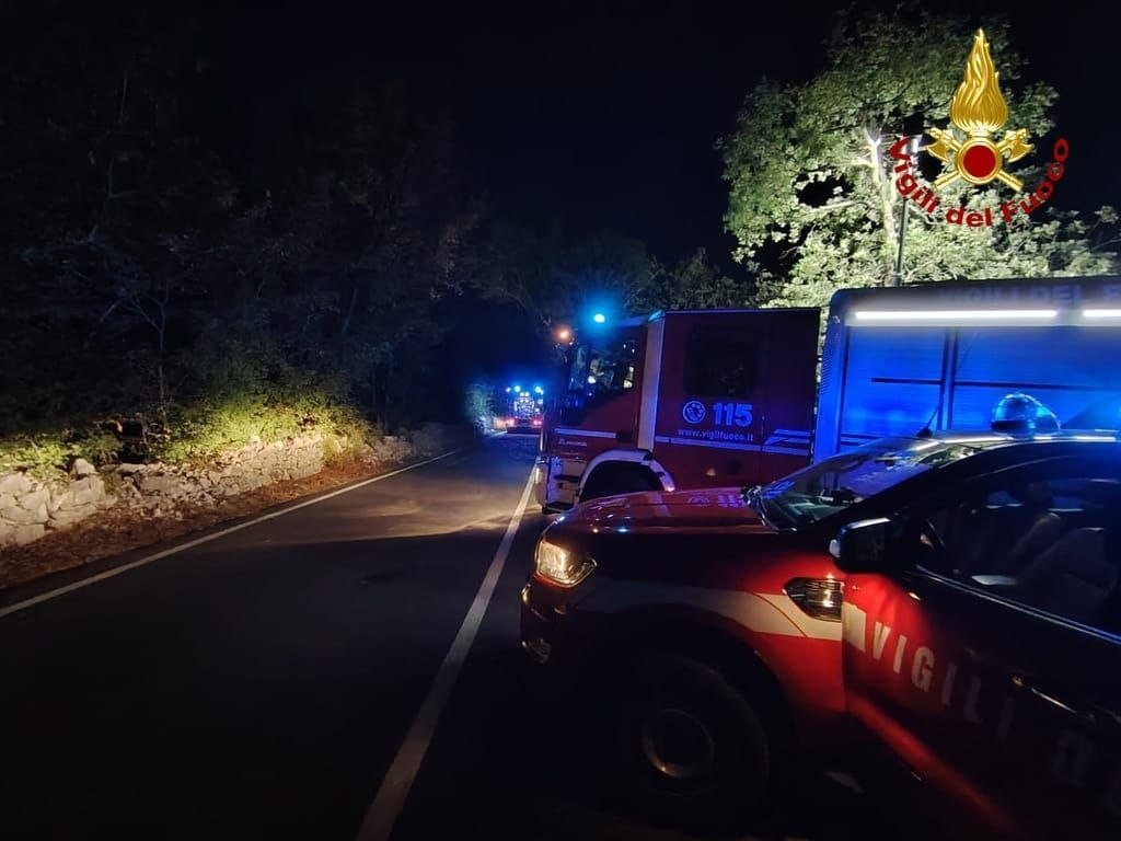 incendi fvg