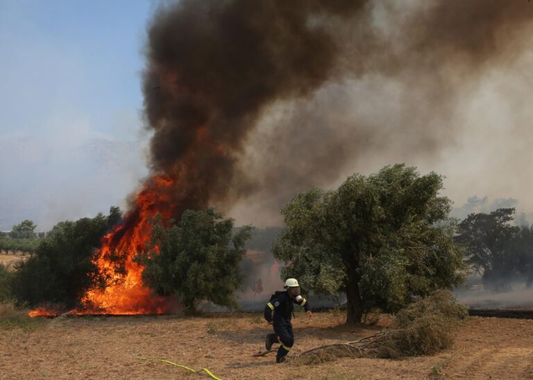 Incendi grecia