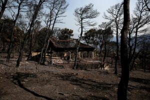 incendi grecia