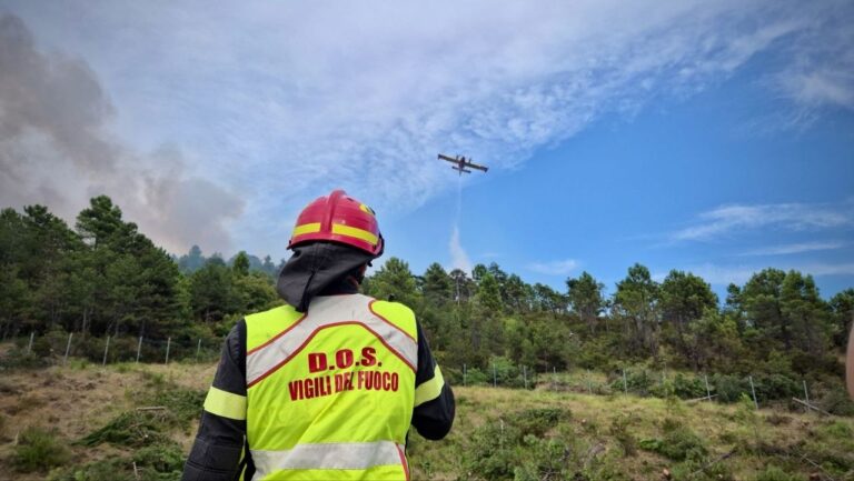 incendi piemonte