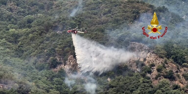 incendi piemonte