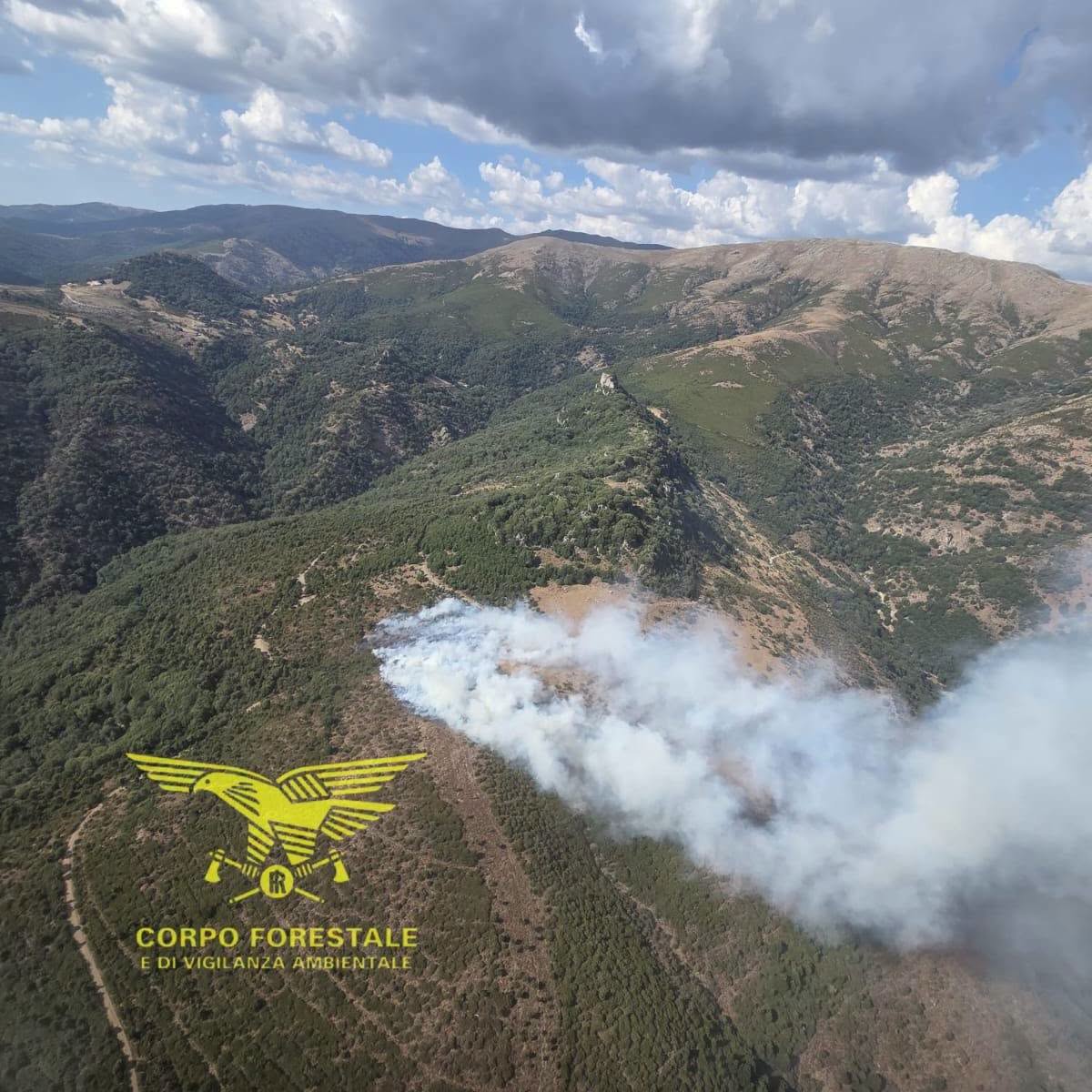 incendi sardegna