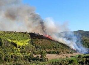 incendi sardegna