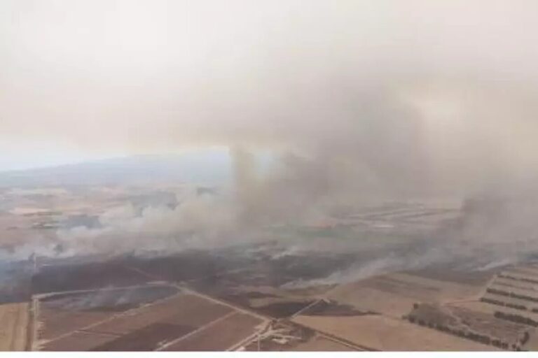 incendi sardegna