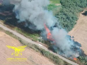 incendi sardegna