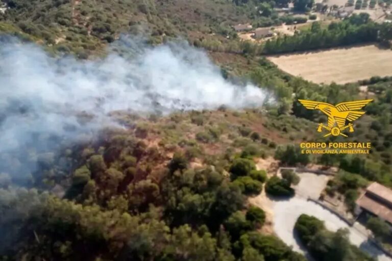 incendi sardegna