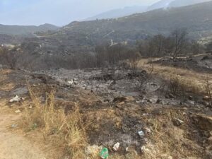 incendio arzana sardegna