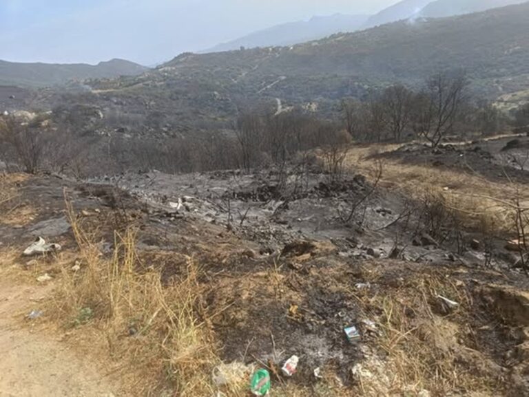 incendio arzana sardegna