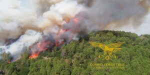 incendio arzana sardegna