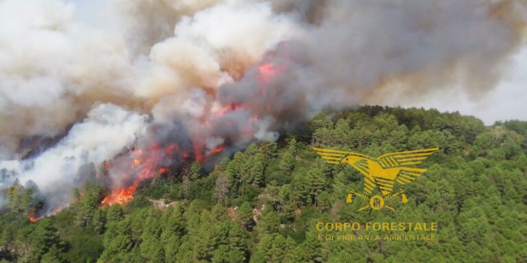 incendio arzana sardegna