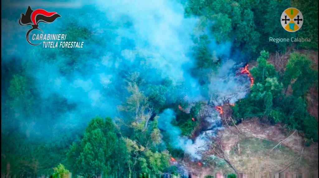 incendio calabria vibo
