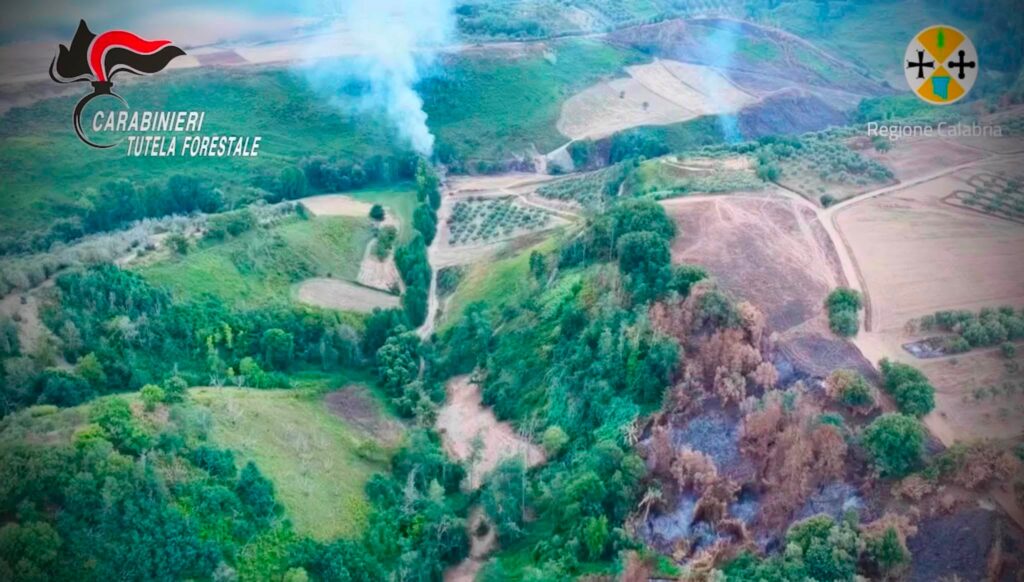 incendio calabria vibo