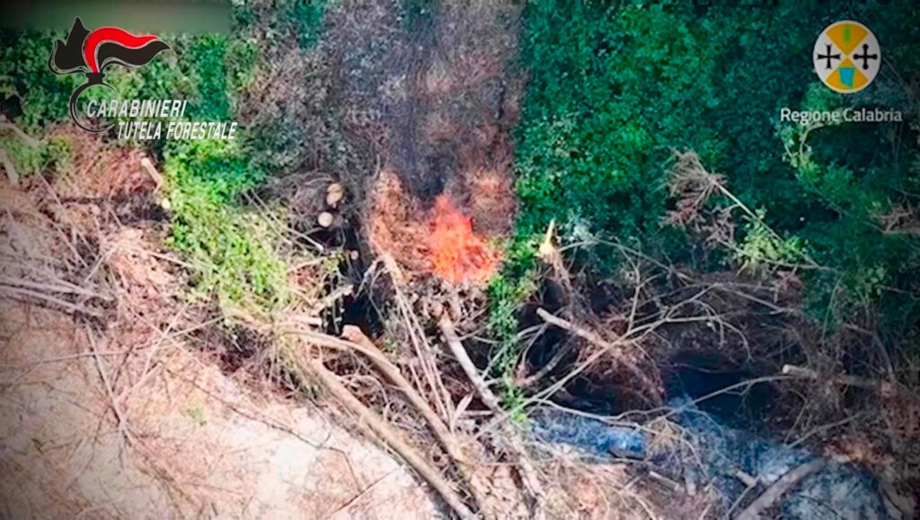 incendio calabria vibo
