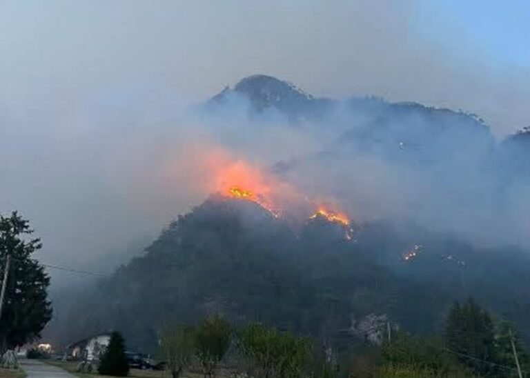 incendio carnia