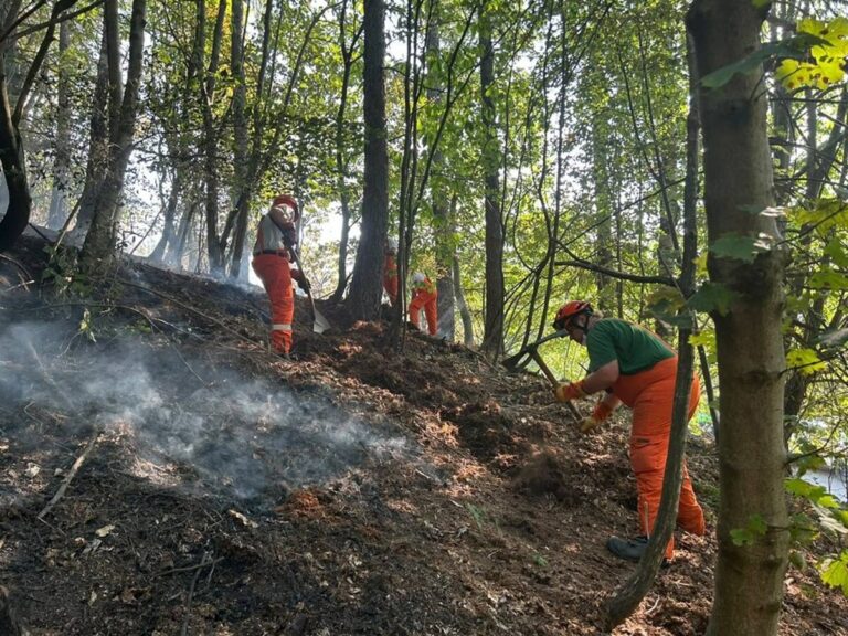 incendio monte barone piemonte