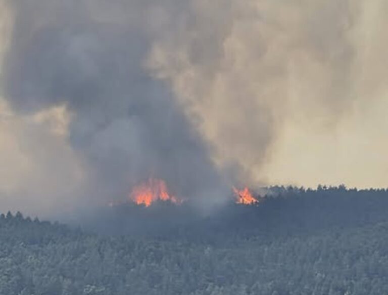 incendio monte morrone abruzzo
