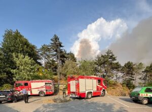 incendio mornese piemonte