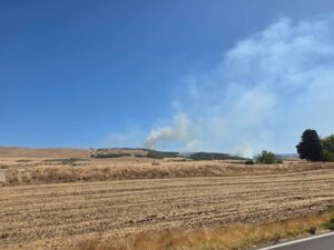 incendio murgia