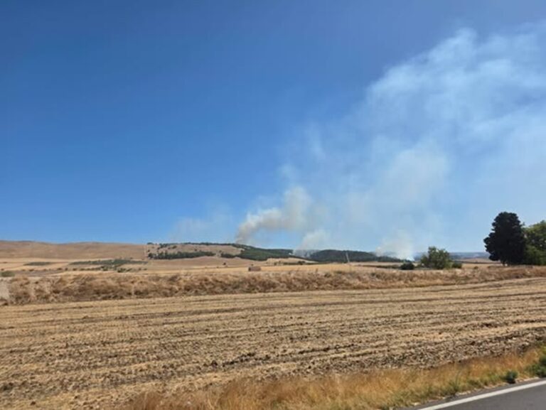 incendio murgia