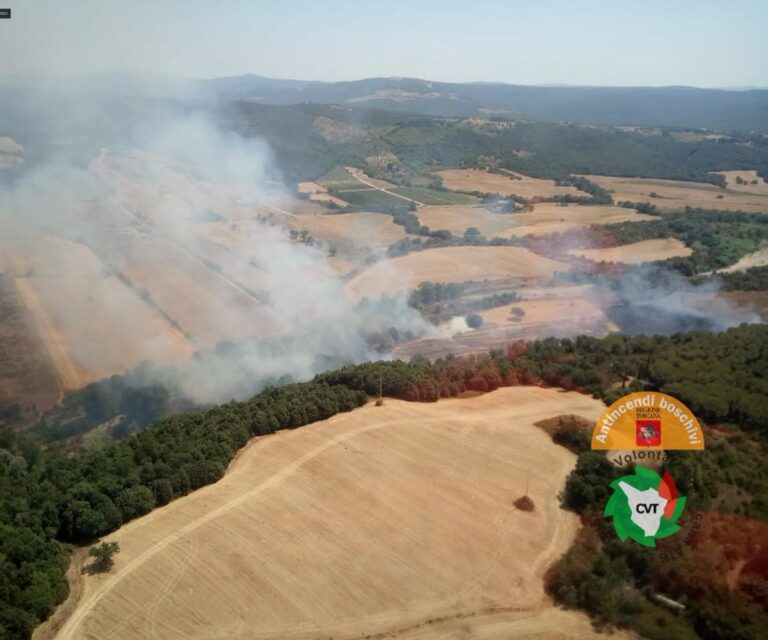incendio suvereto toscana