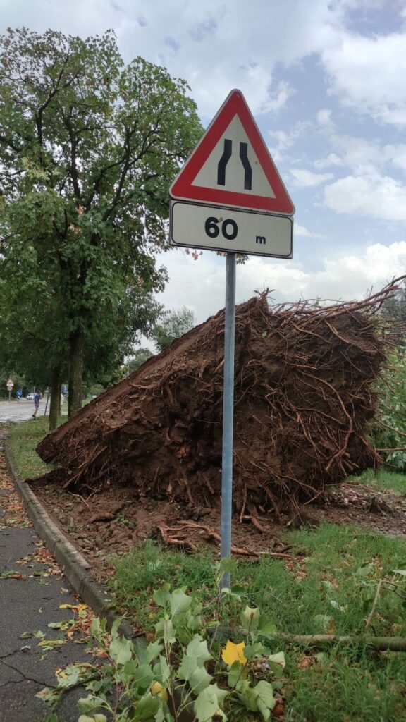 maltempo Cambonino di Cremona lombardia