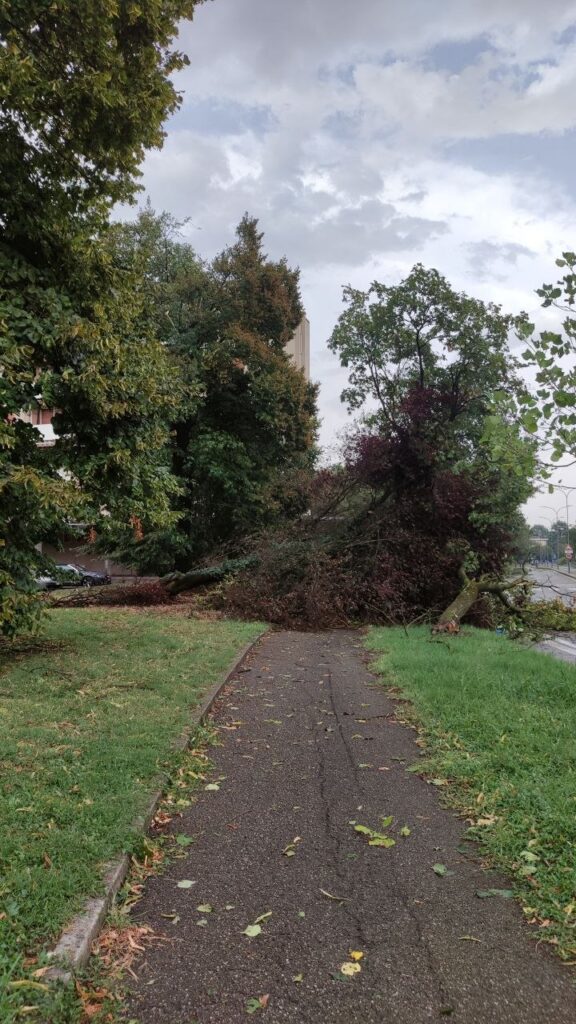 maltempo Cambonino di Cremona lombardia