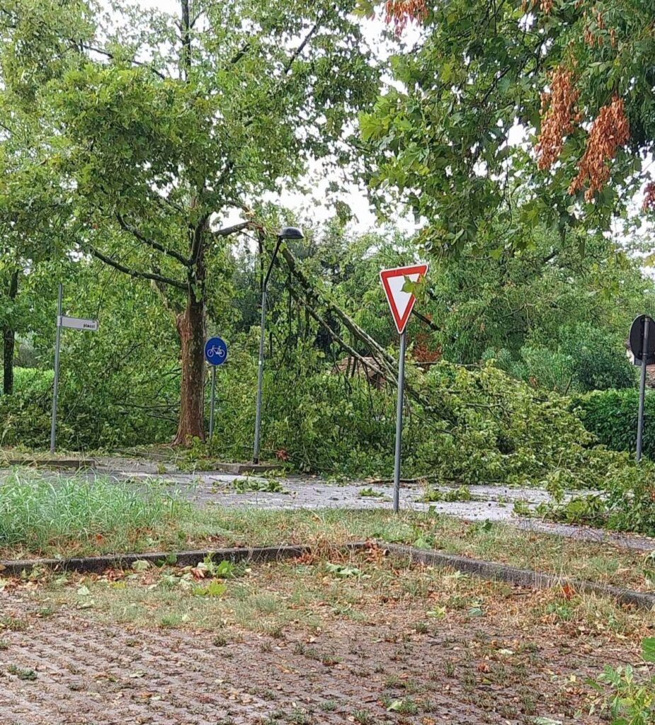 maltempo Reda di Faenza emilia romagna
