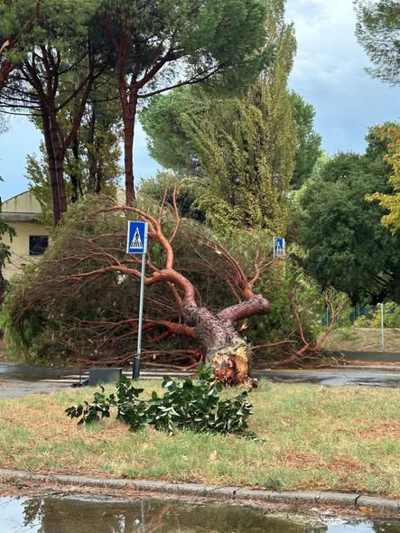 maltempo San Pietro in vincoli emilia romagna 2