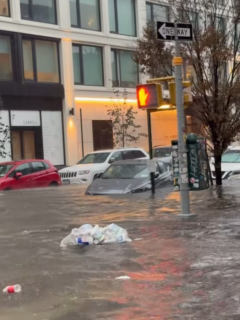 maltempo brooklyn new york
