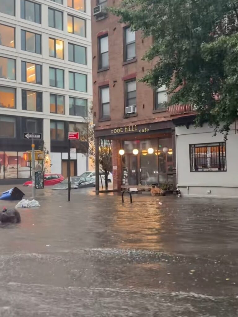 maltempo brooklyn new york