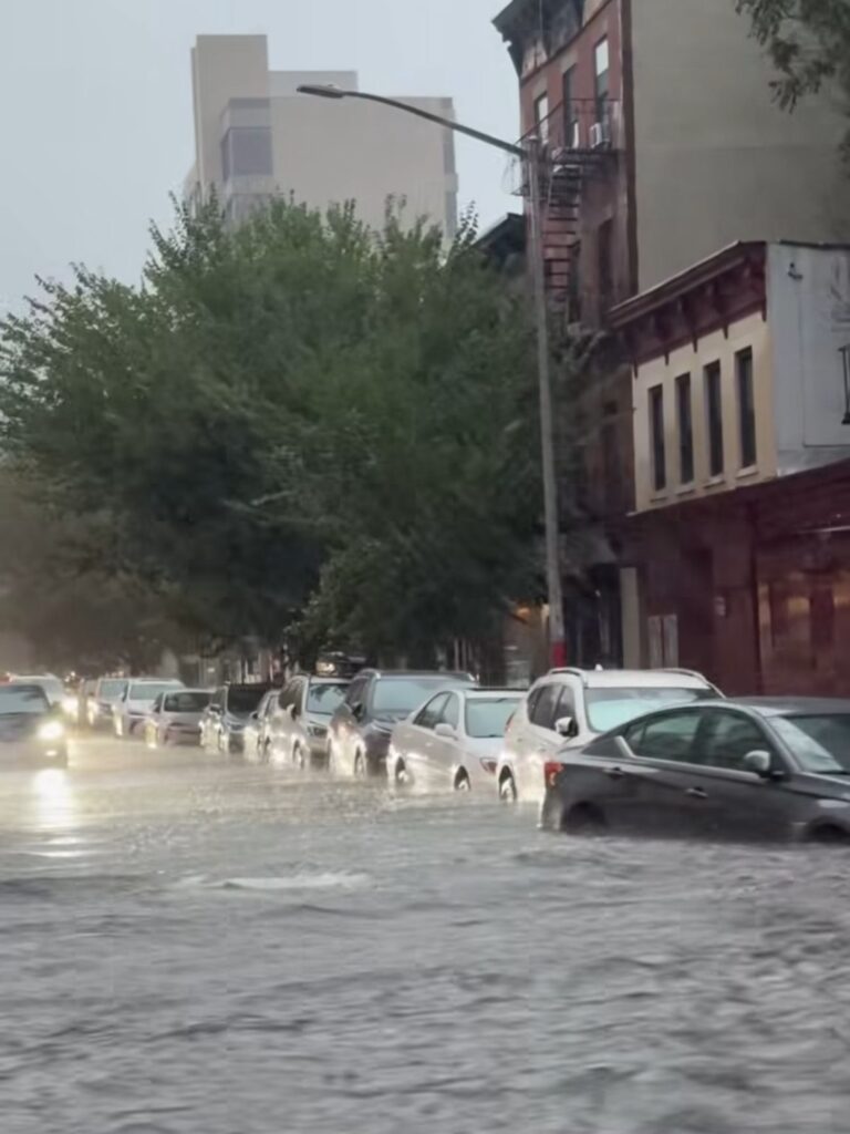 maltempo brooklyn new york