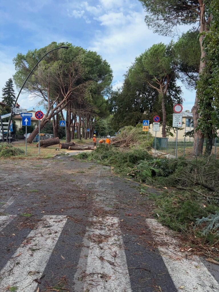 maltempo emilia romagna