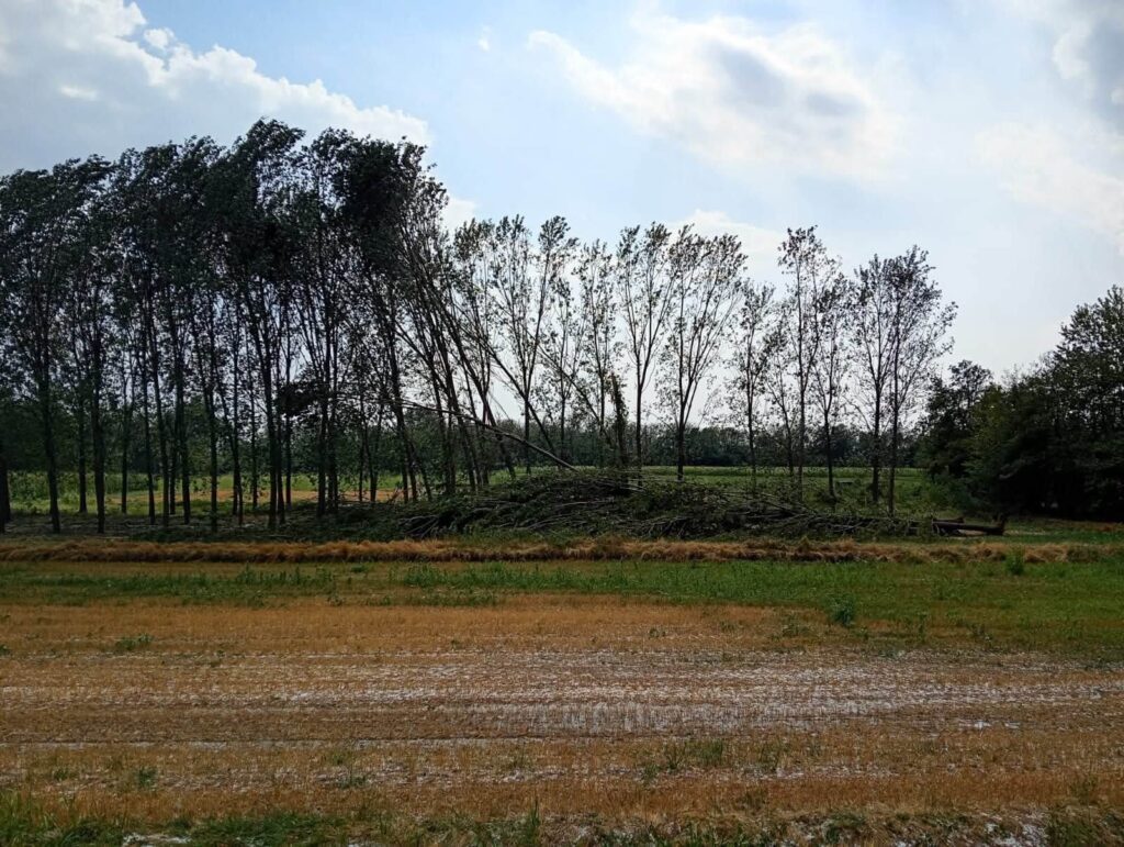maltempo fara novarese piemonte