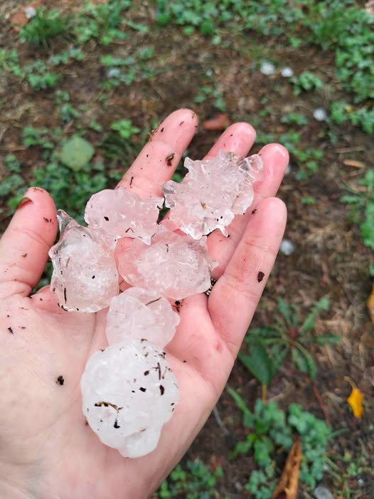 maltempo grandine piovera piemonte