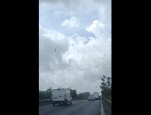 maltempo tornado borgo montello lazio