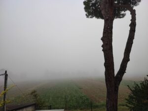 nebbia emilia romagna
